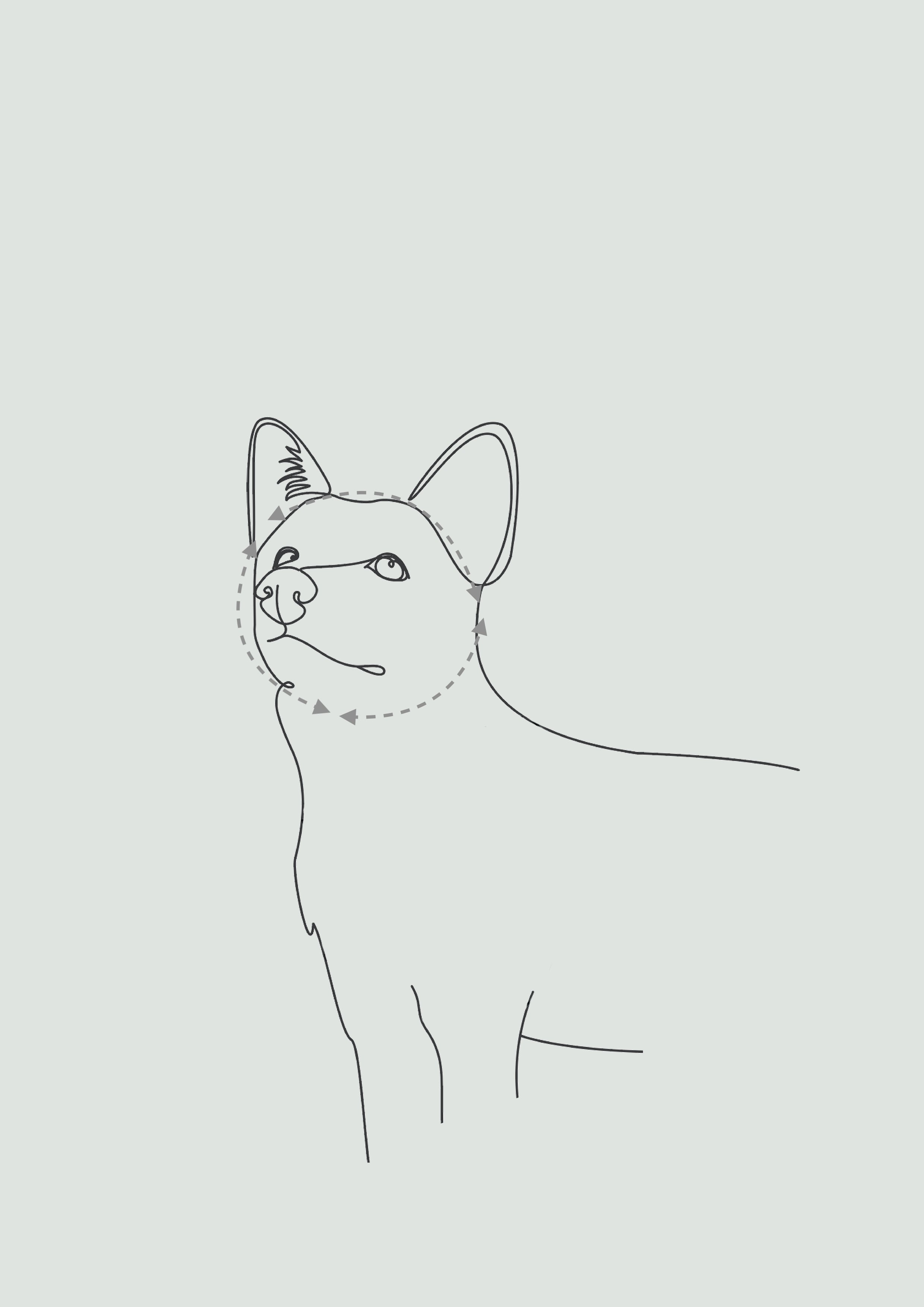 MAIA Limited Slip Collar