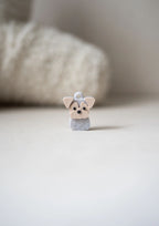 Yorkshire Terrier Prosopa Charm