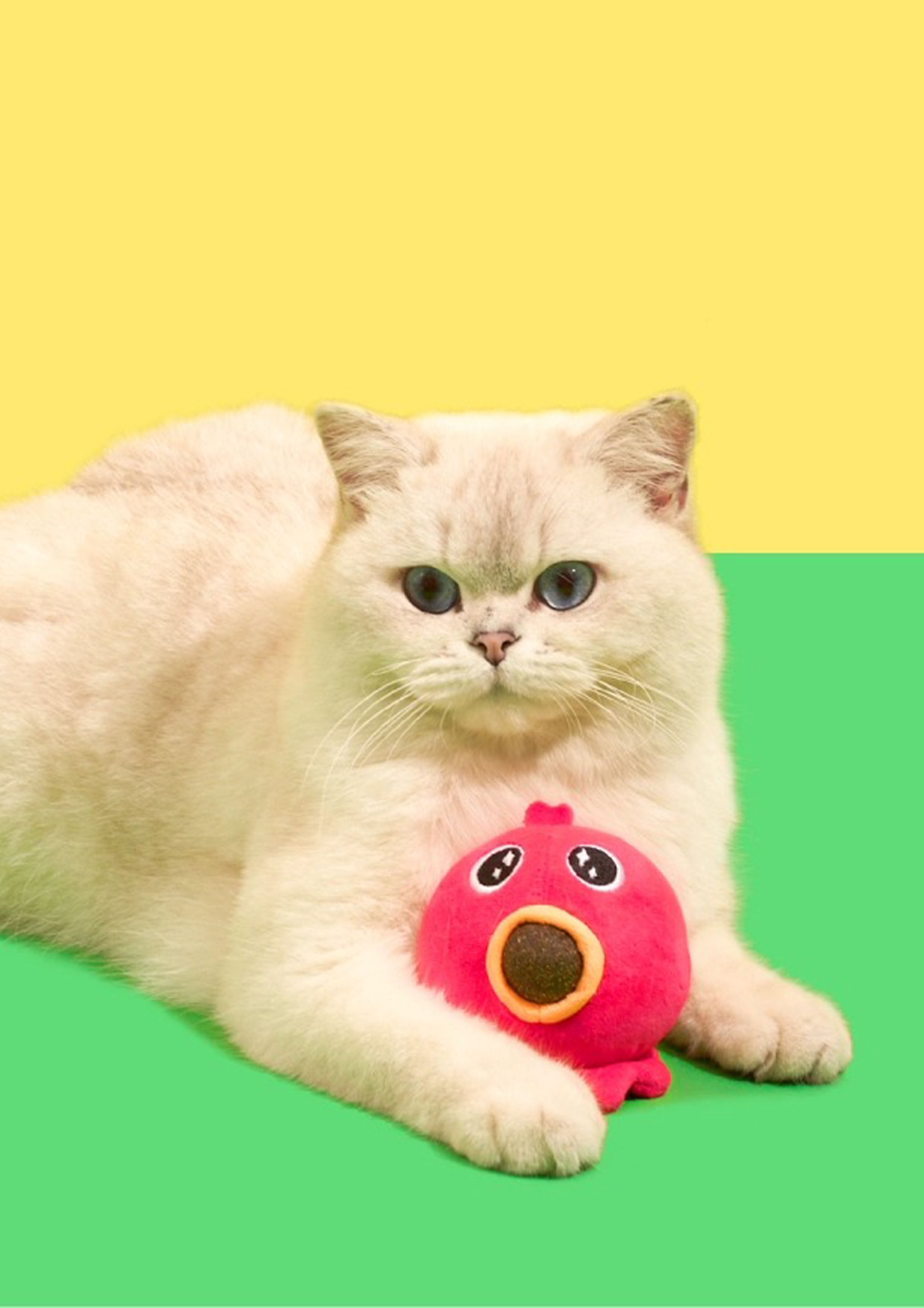Takoyaki Catnip Toy