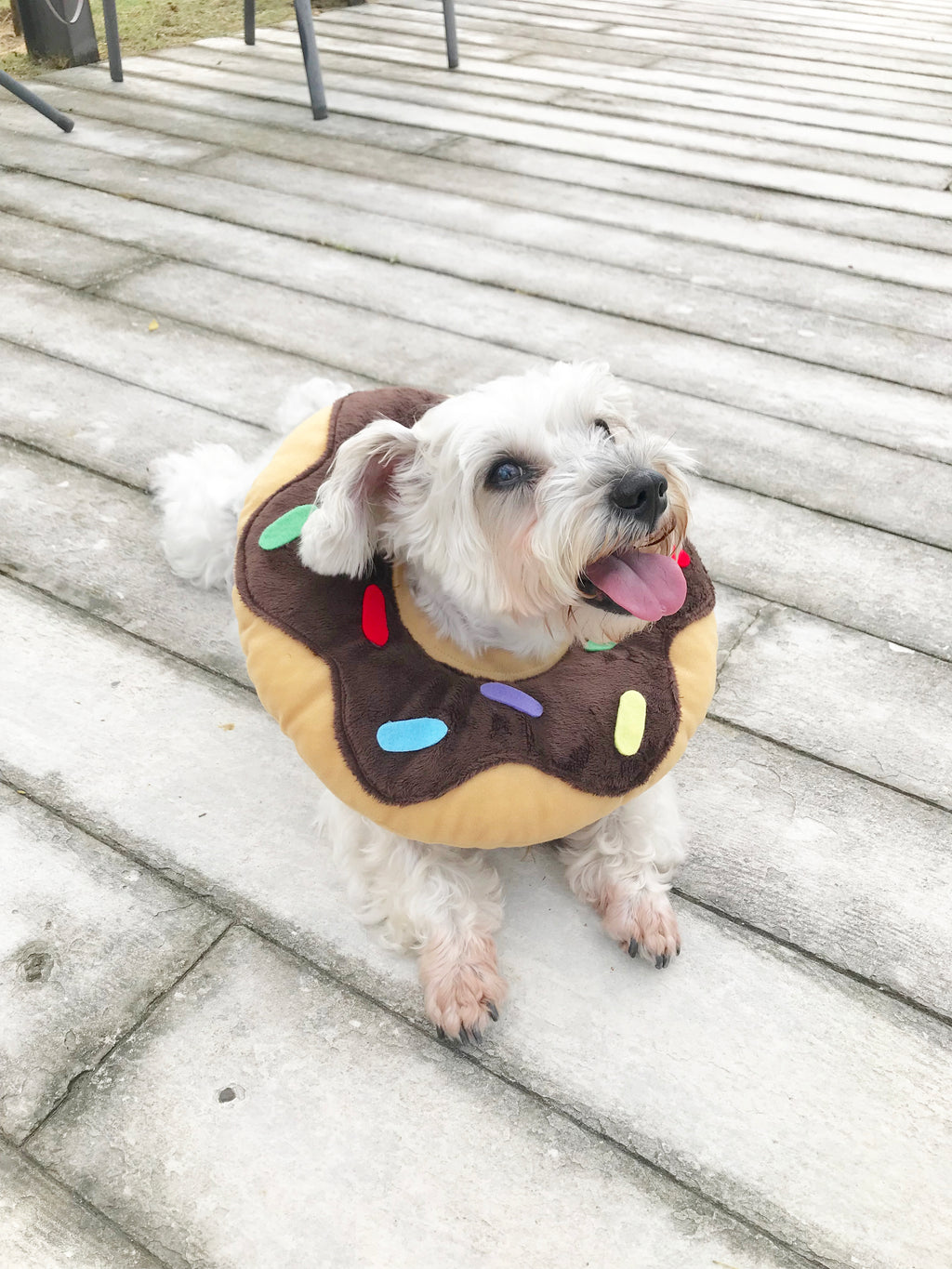Chocolate Donut Cone