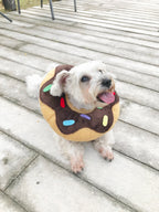 Chocolate Donut Cone