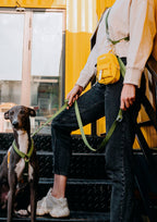 The Backpack