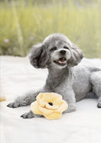 POPPY S Snuffle + Squeaky