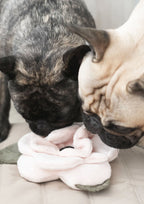 POPPY L Snuffle + Squeaky