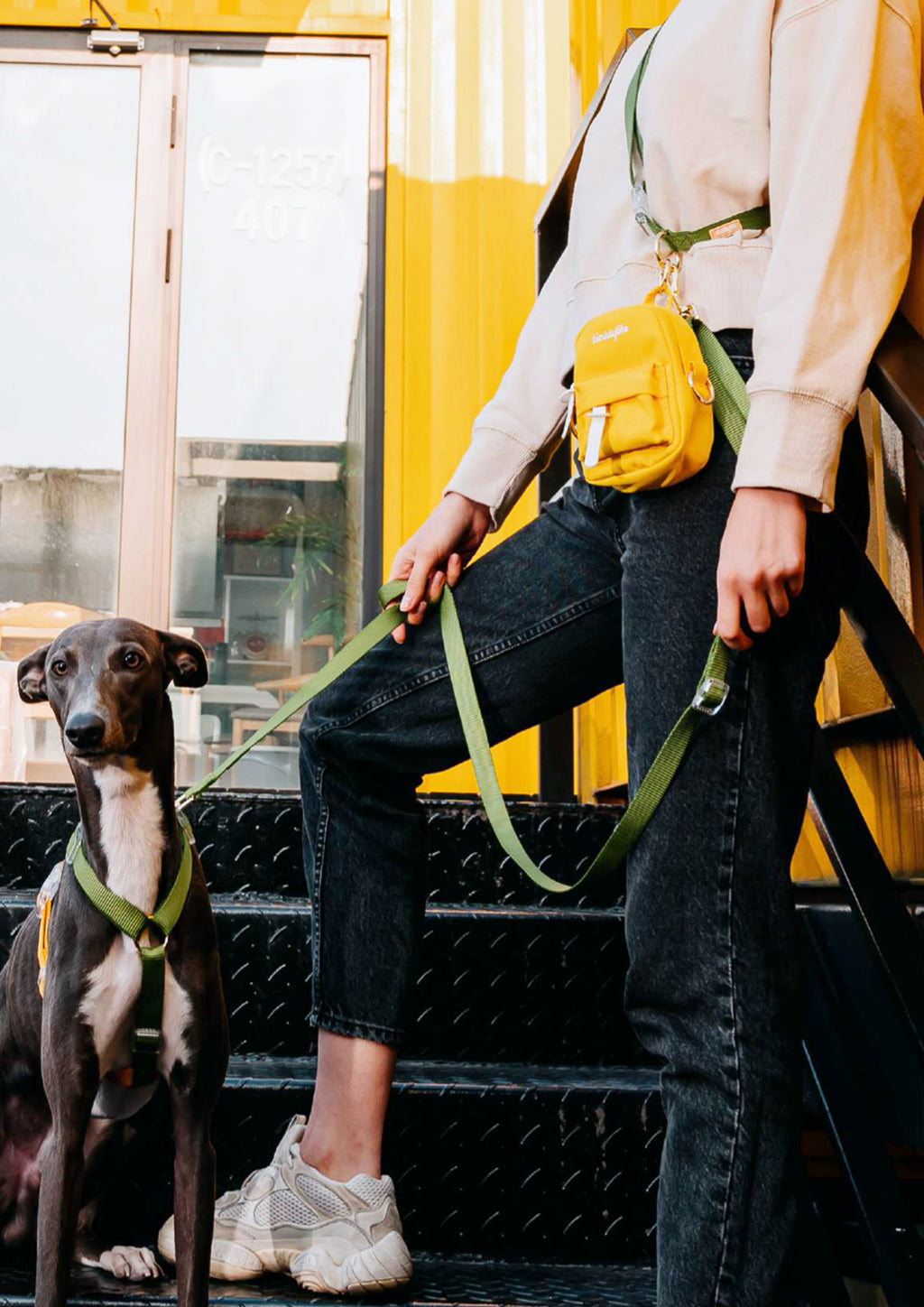 Central Park Harness