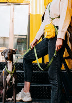 Central Park Harness
