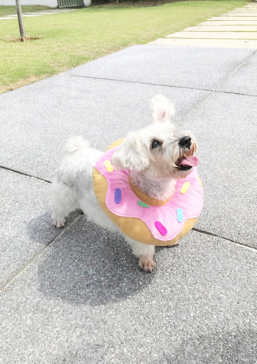 Pink Donut Cone
