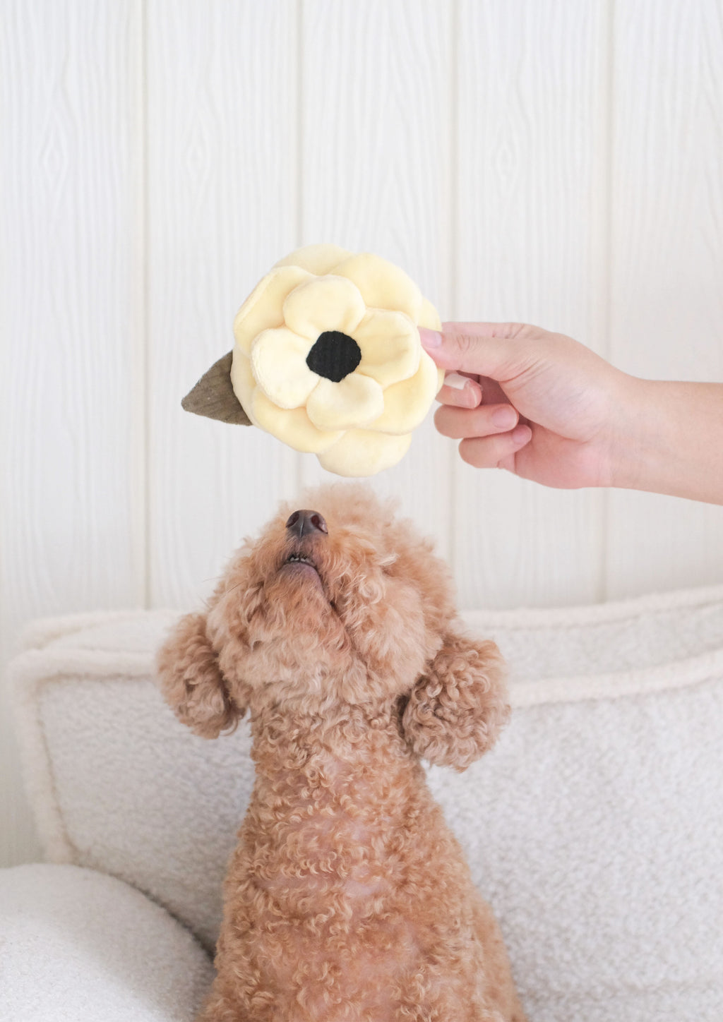 POPPY S Snuffle + Squeaky