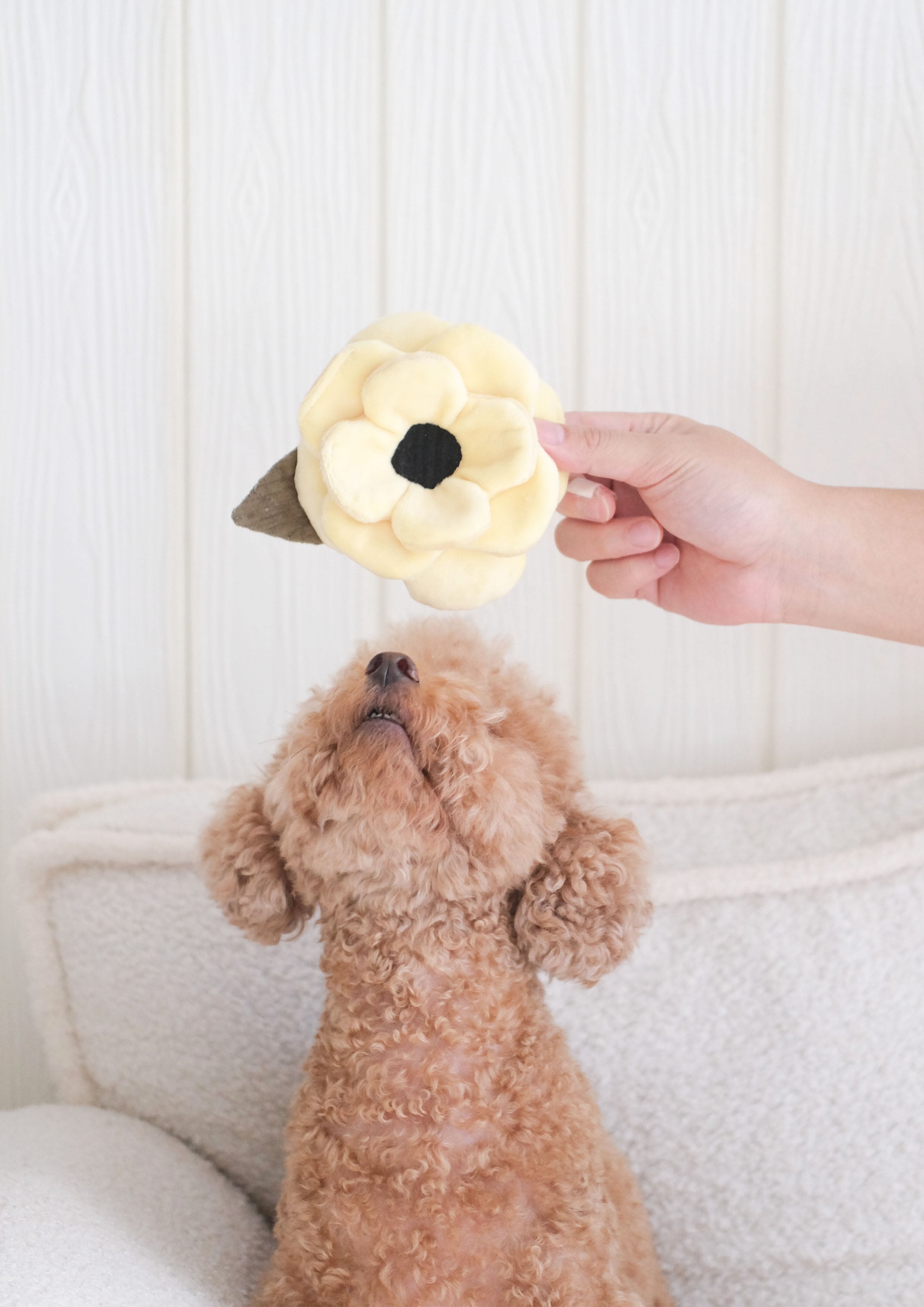 POPPY S Snuffle + Squeaky
