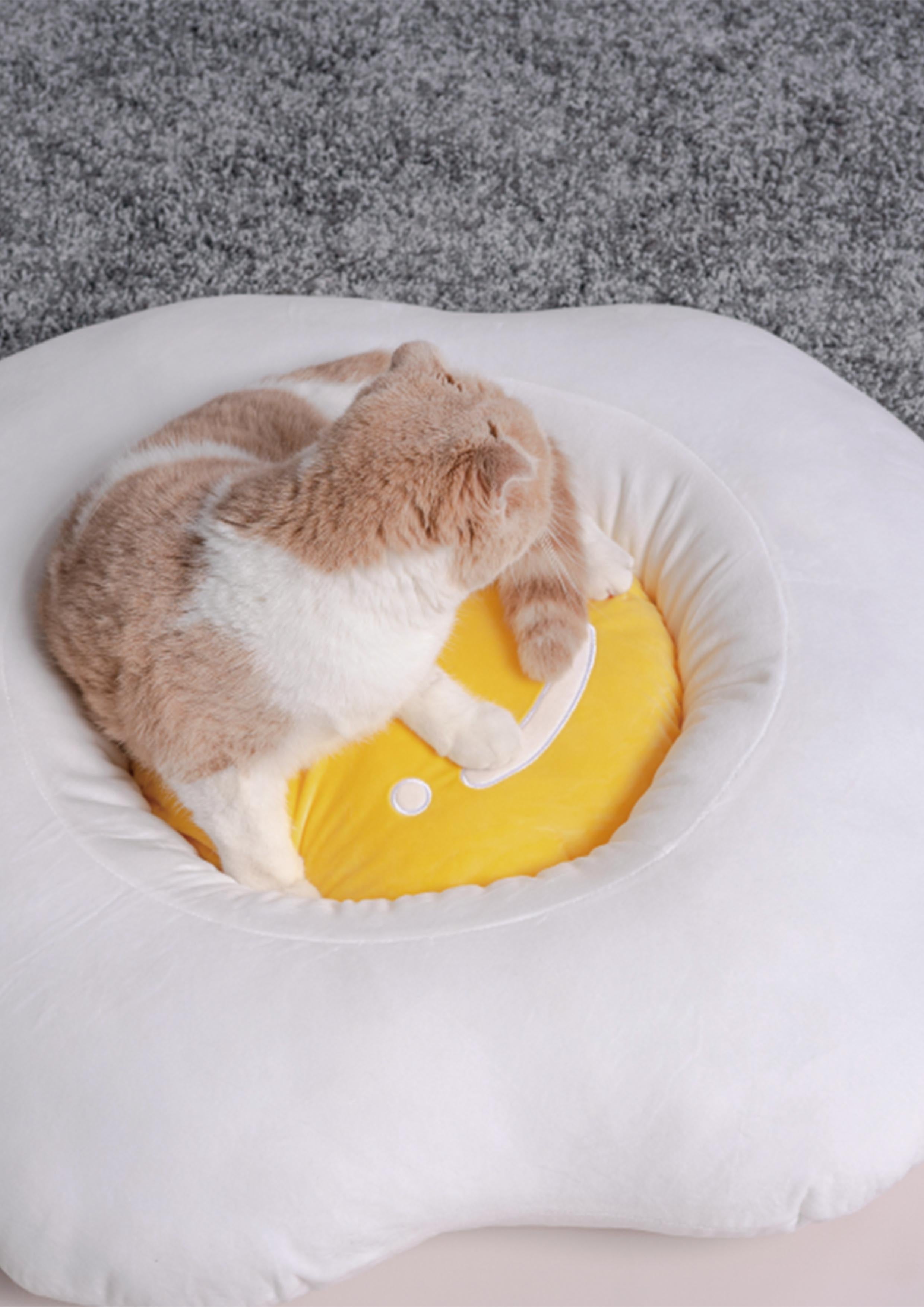 Egg Bed