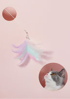 Unicorn Cat Teaser