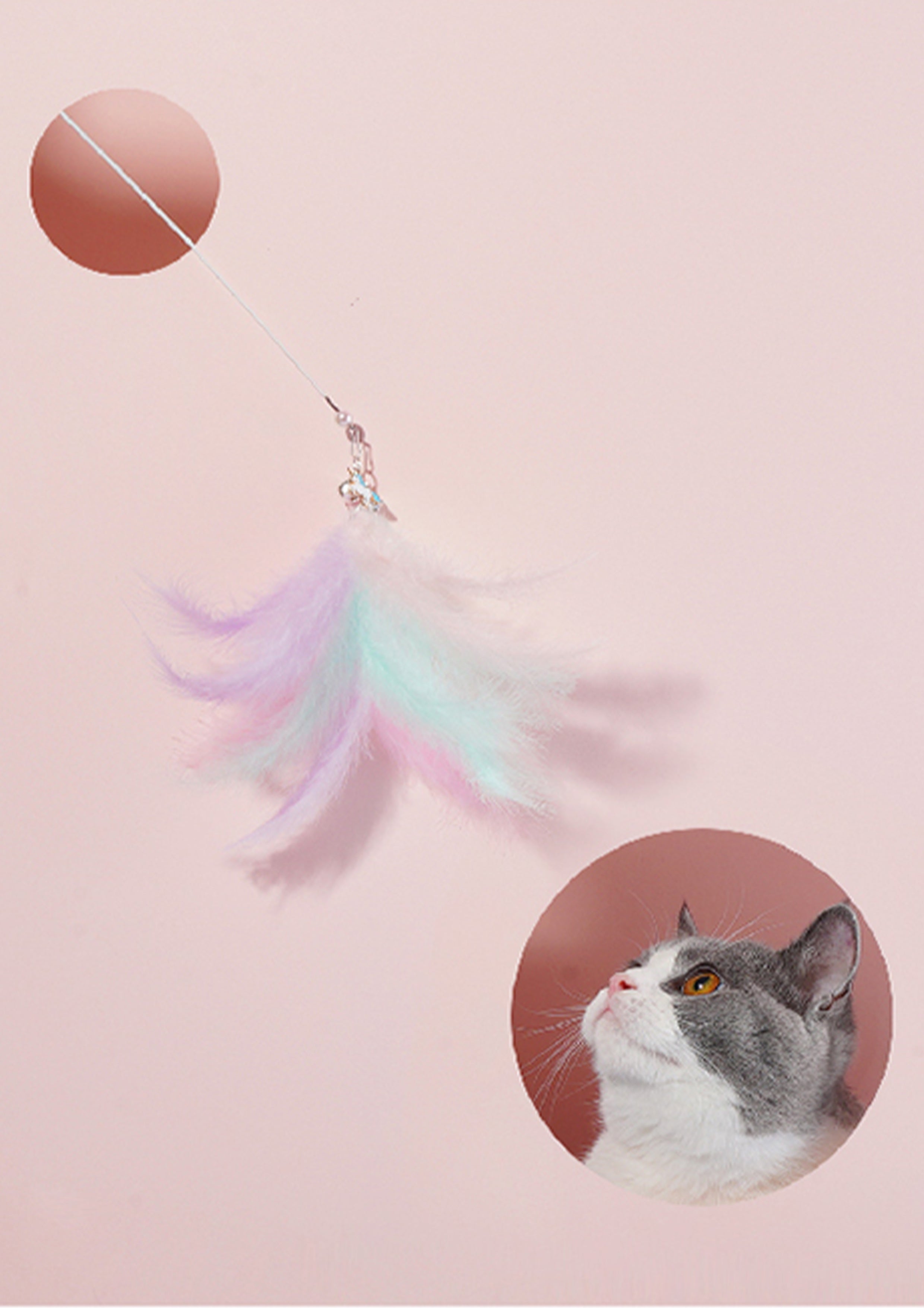 Unicorn Cat Teaser