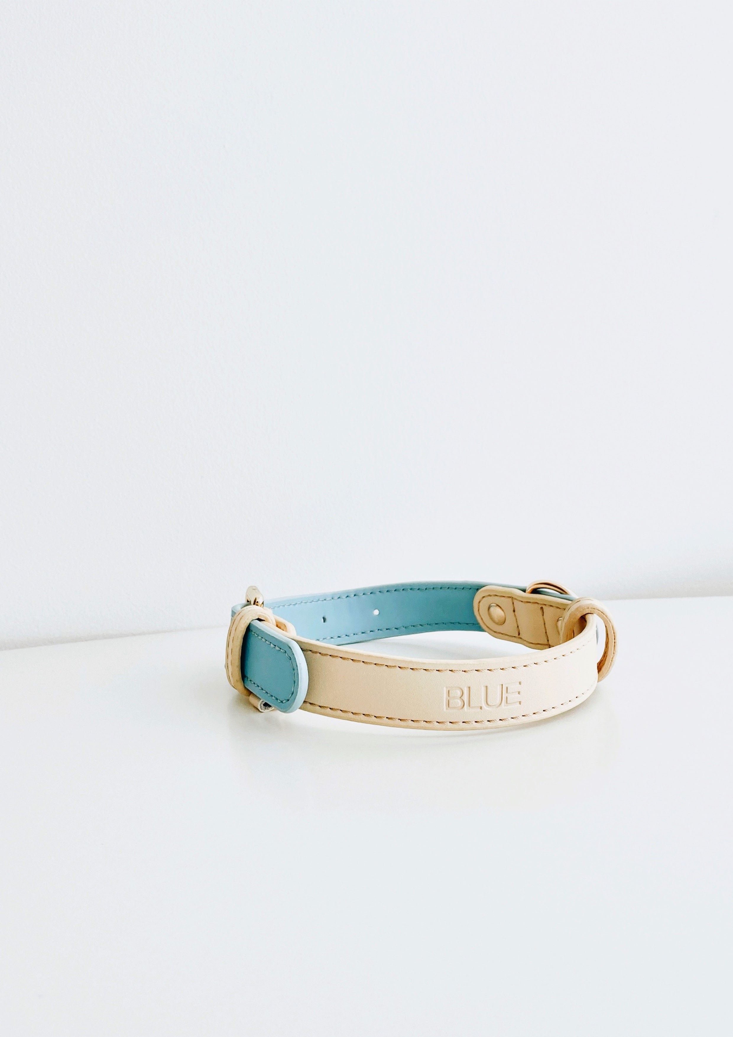 CURIO Collar & Leash Set (Mint)