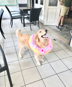 Pink Donut Cone