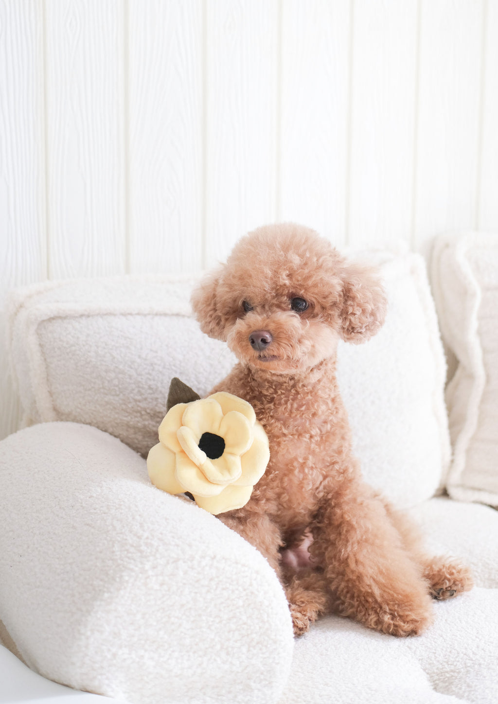 POPPY S Snuffle + Squeaky