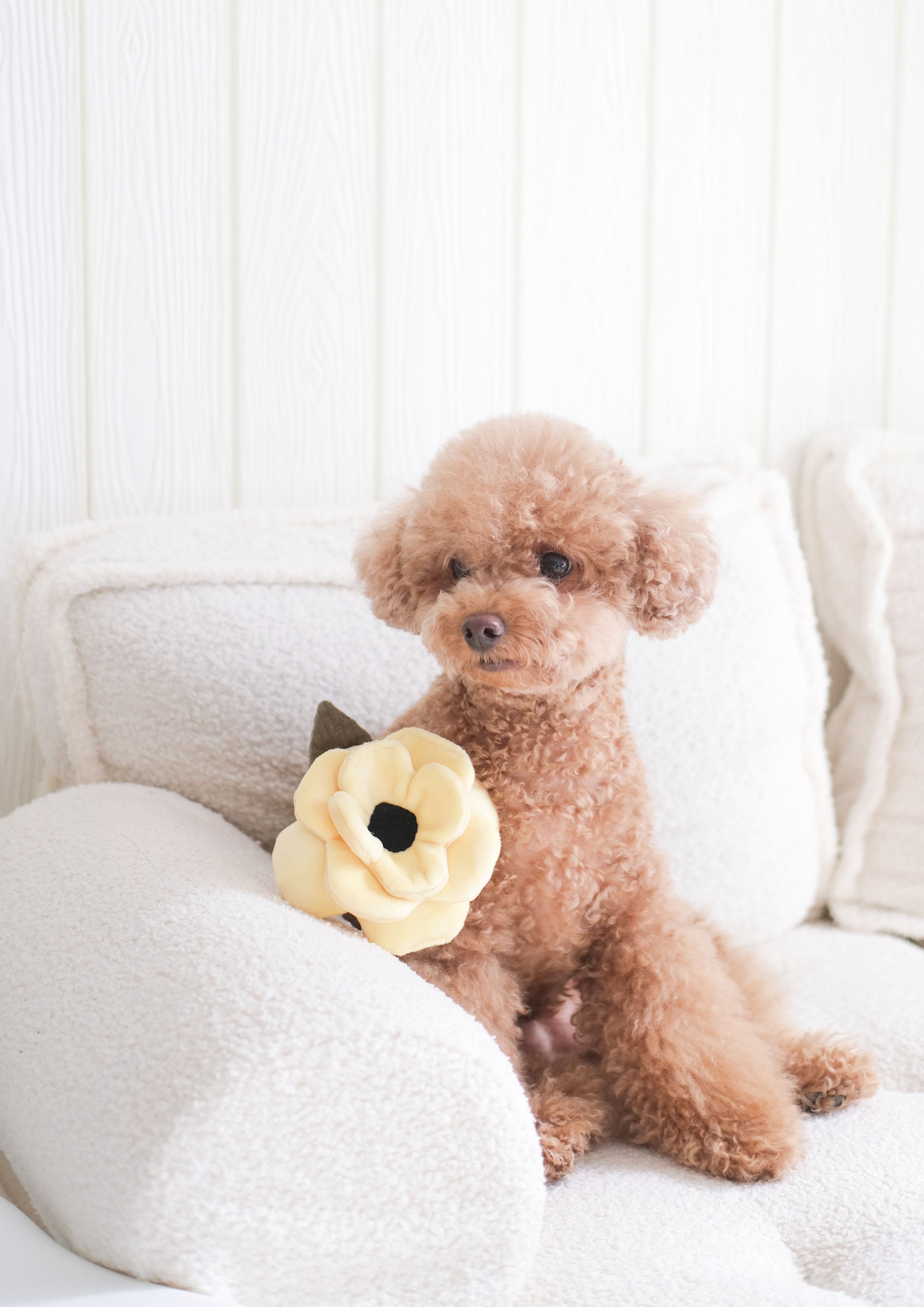 POPPY S Snuffle + Squeaky