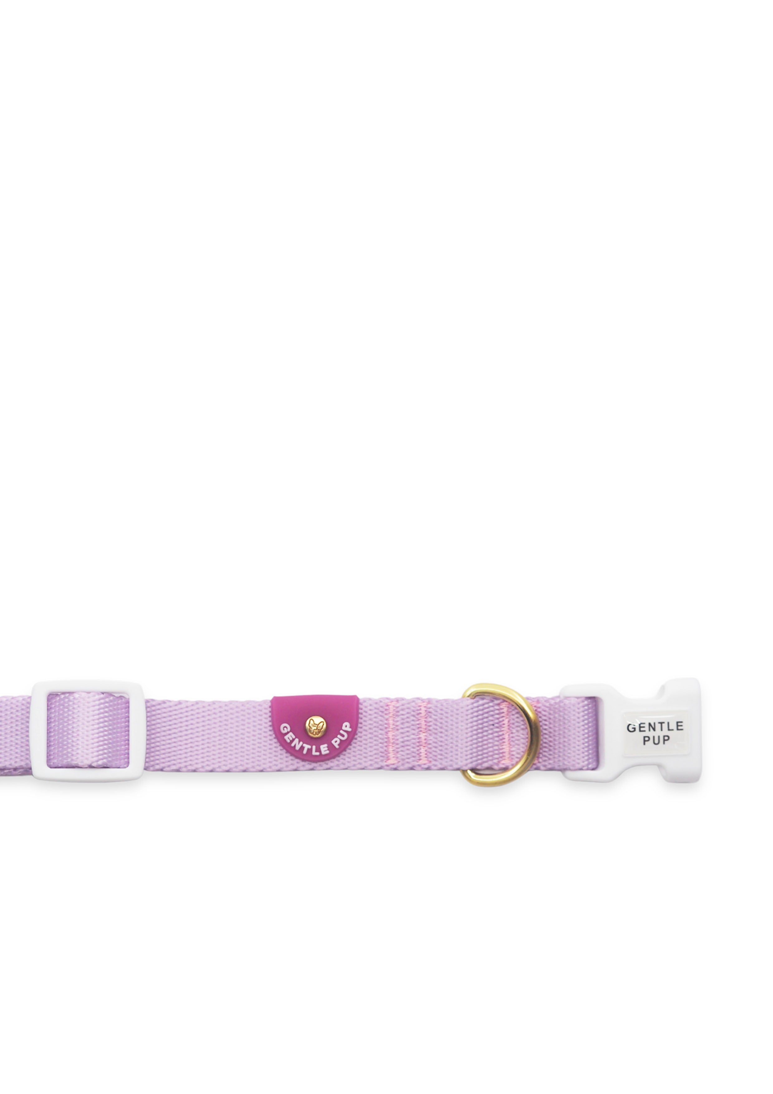 Lite Collar (Taro)