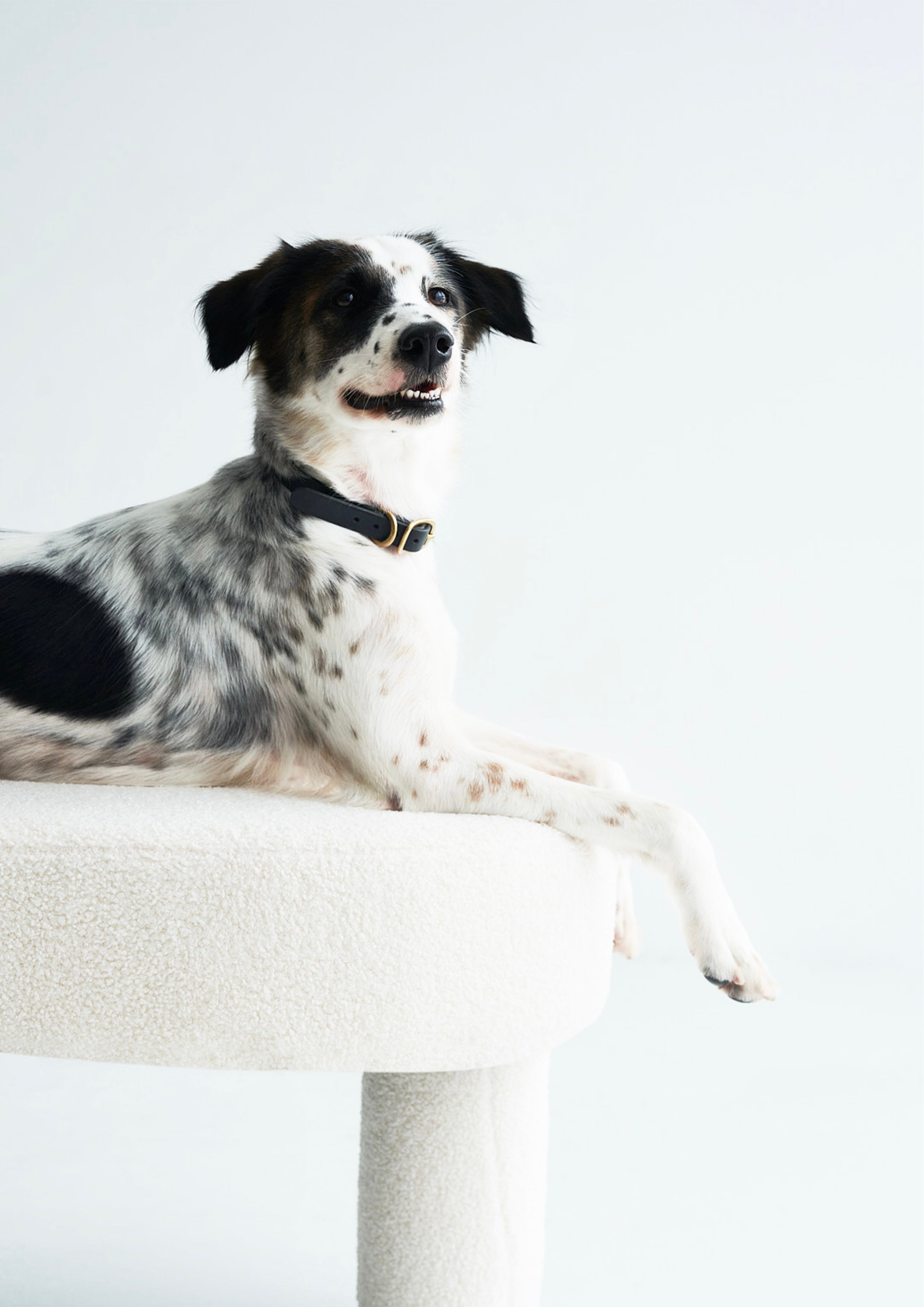 BUTTERO Leather Collar