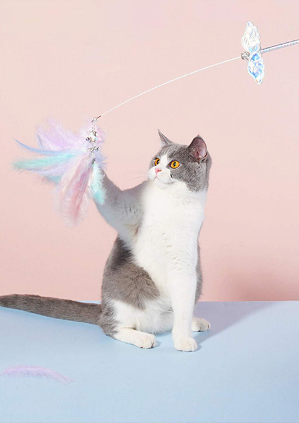 Unicorn Cat Teaser