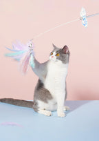 Unicorn Cat Teaser