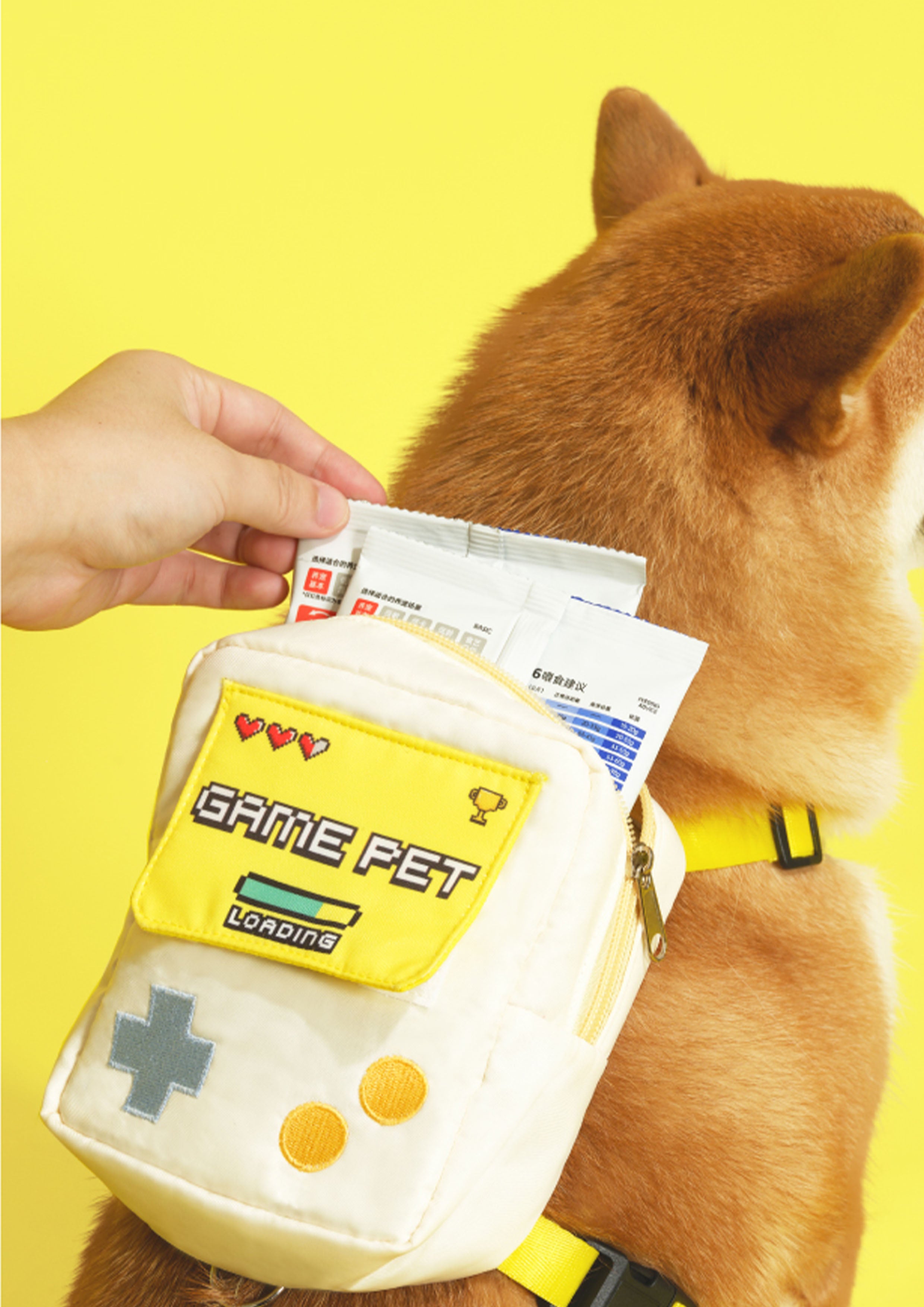 Game Boy Backpack Harness