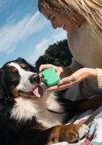 Silicone Dog Treat Dispenser (Springer Green)