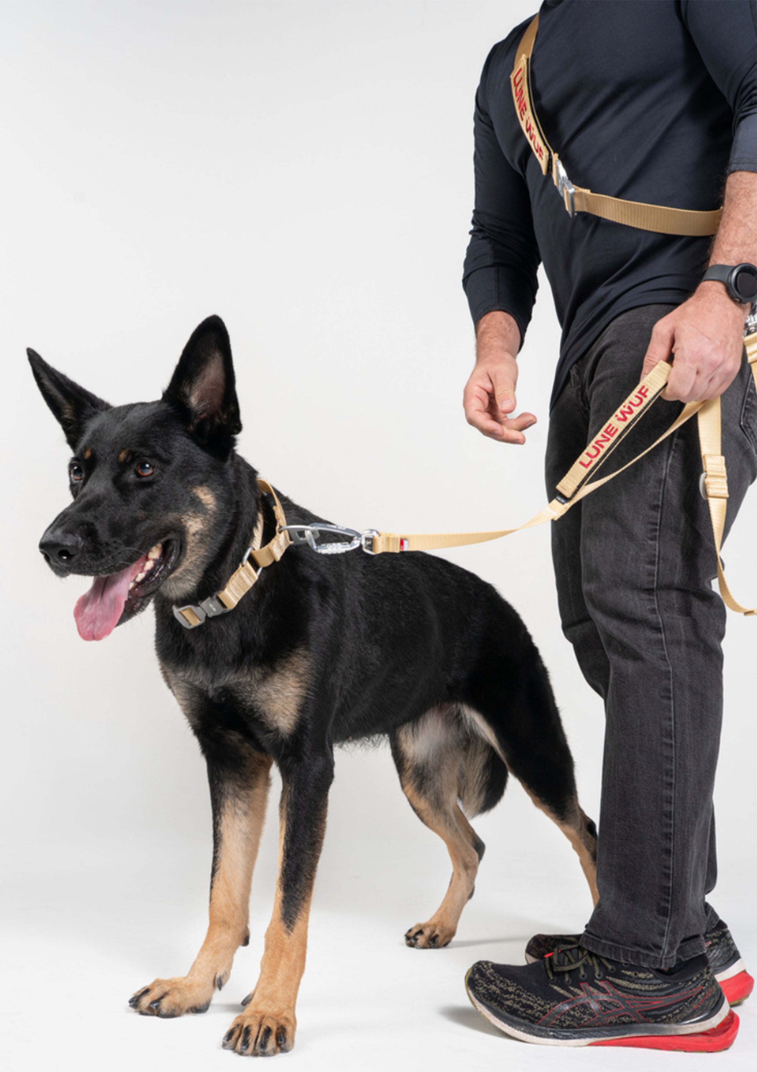 Handsfree Leash Set (Sand Dune)