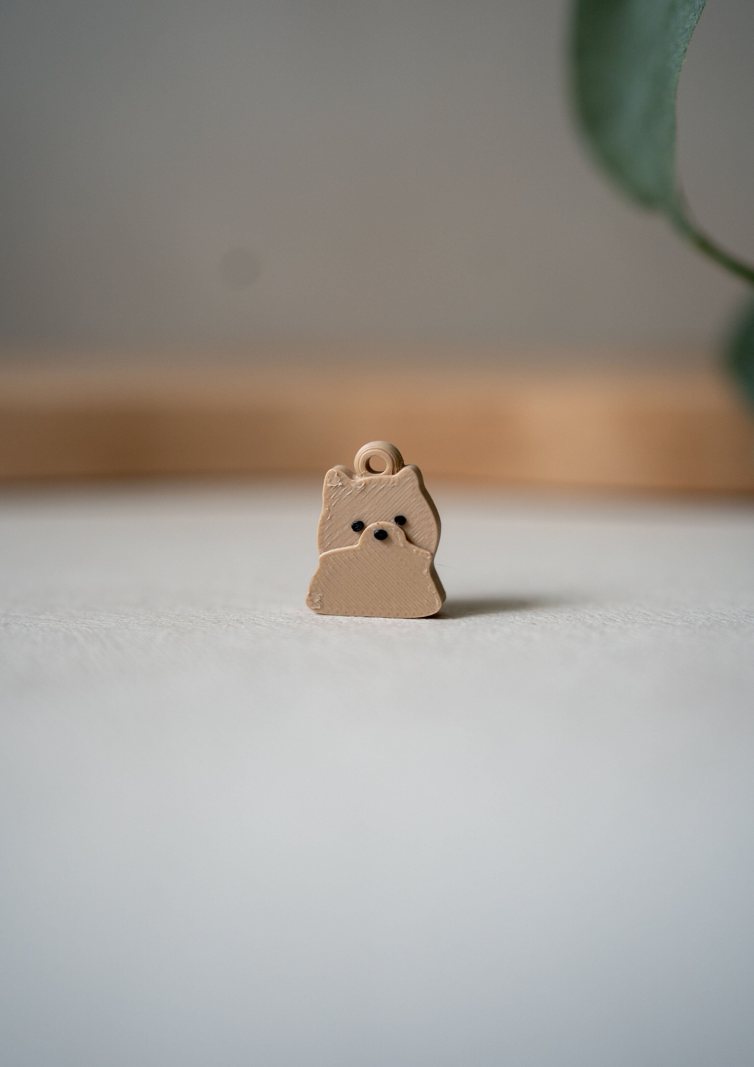 Pomeranian Prosopa Charm