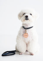 Leather Tag