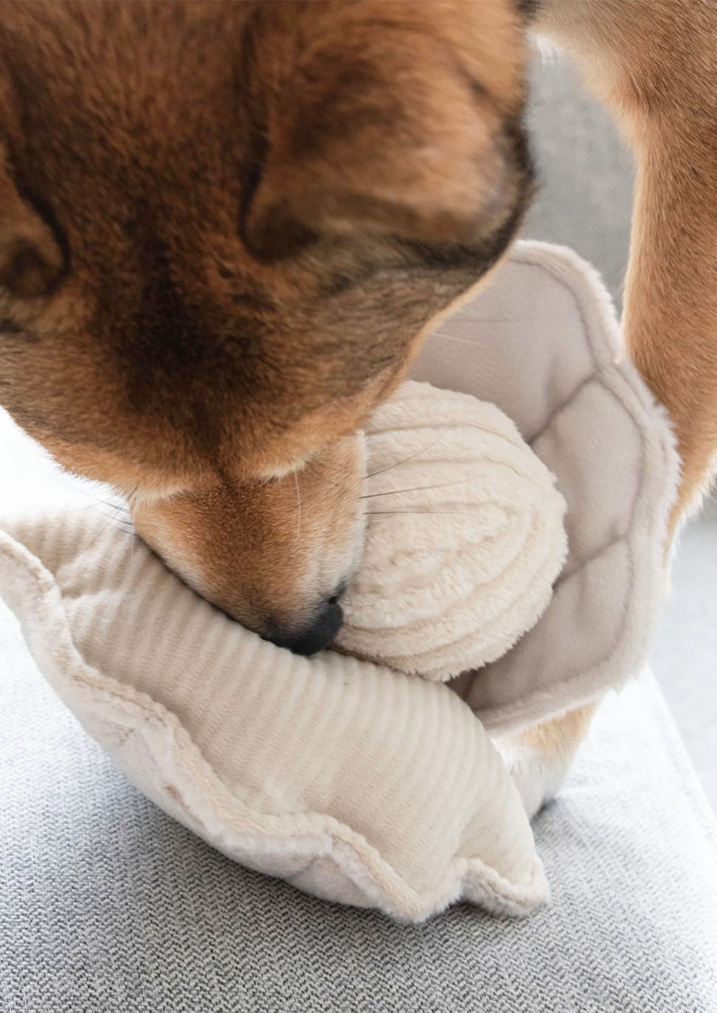 Oyster POP Bouncy + Squeaky + Crinkly