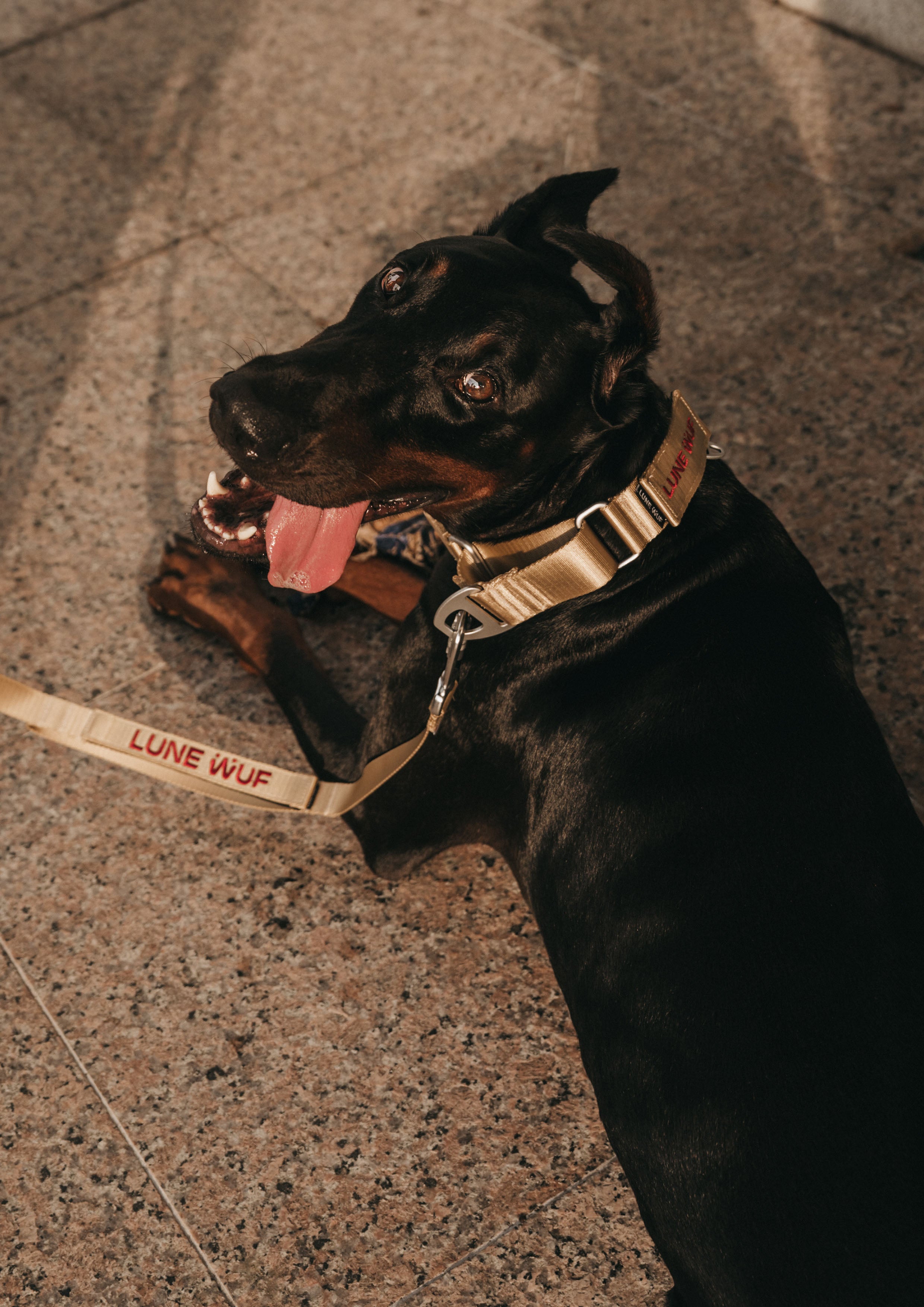 Buckle Martingale (Sand Dune)