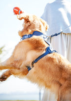 Elastane Harness