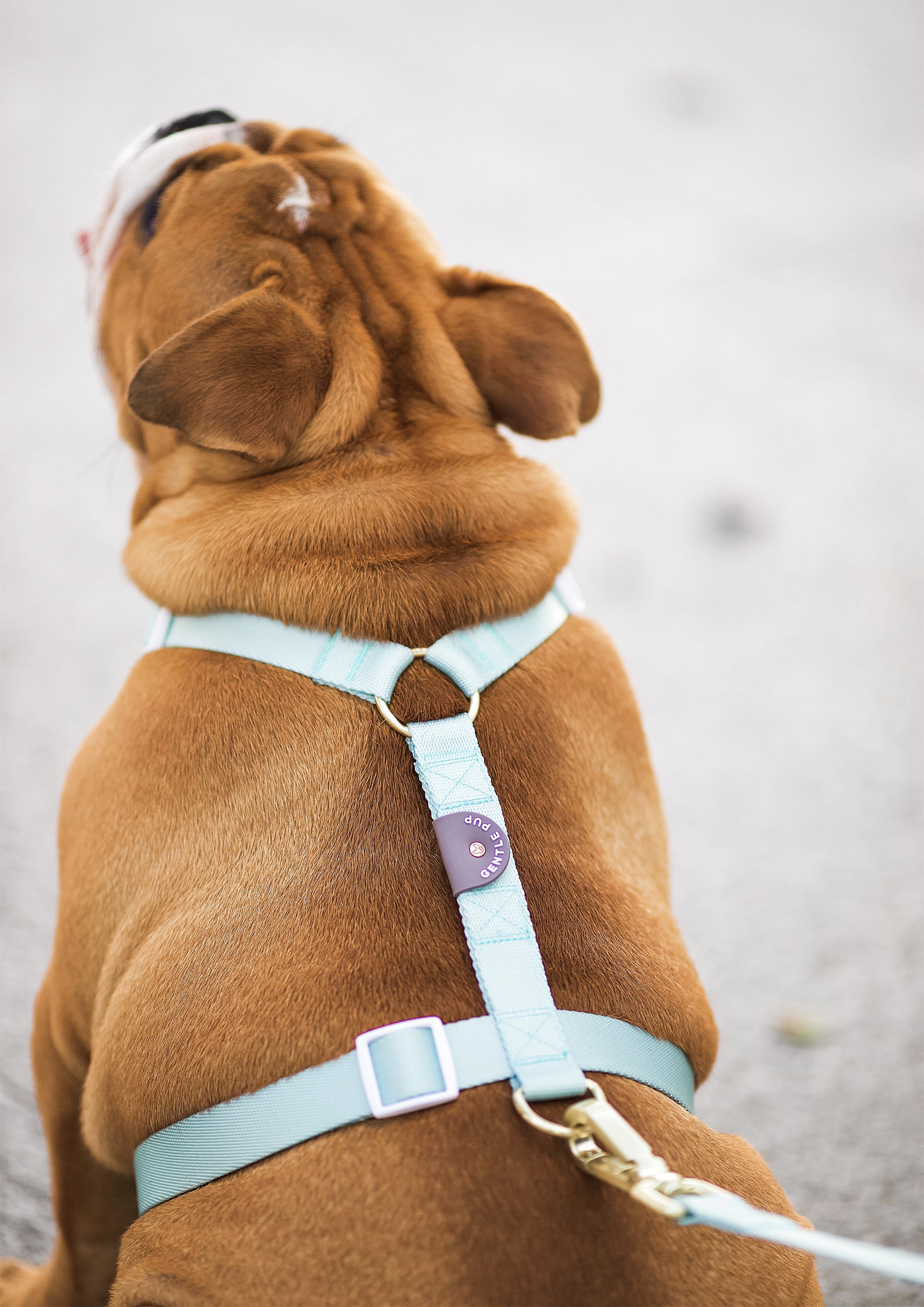 Lite Maxi Harness (Pistachio)