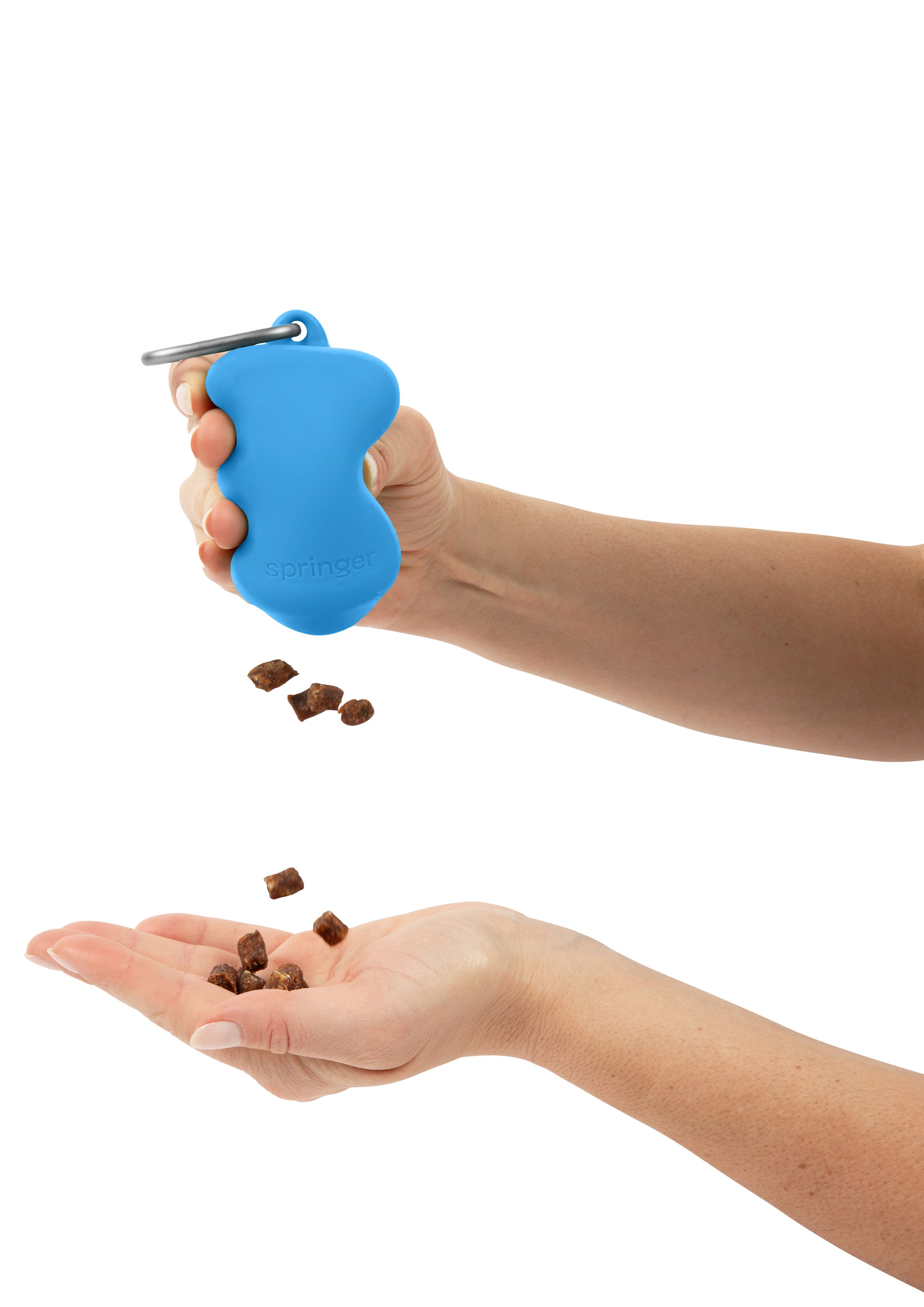 Silicone Dog Treat Dispenser (Blueberry)