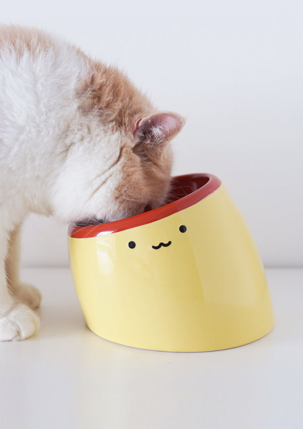 Pudding Feeder