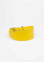 Yellow Wide Leather Collar