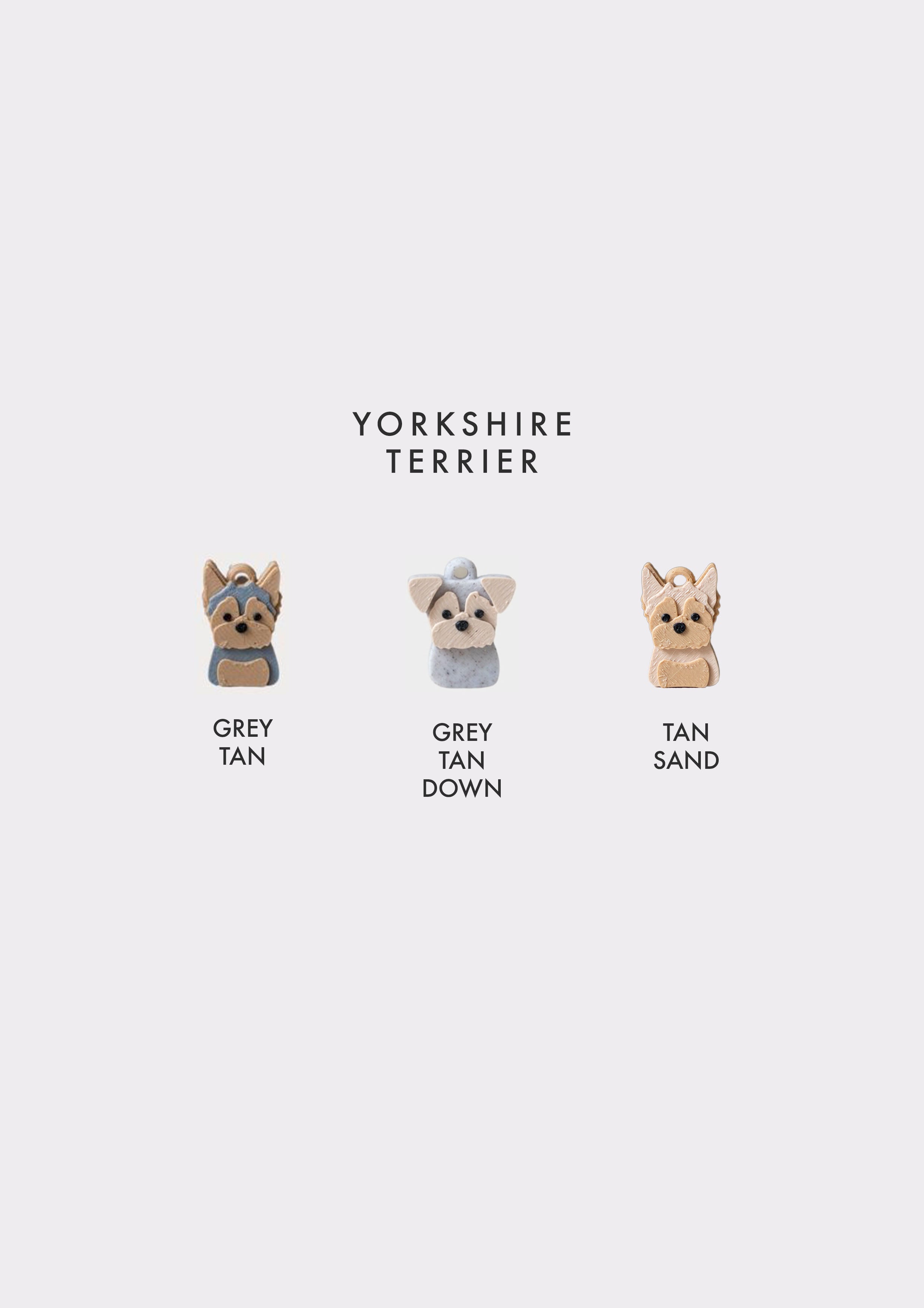 Yorkshire Terrier Prosopa Charm