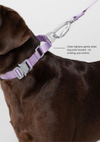 Buckle Martingale (Orchid Lilac)