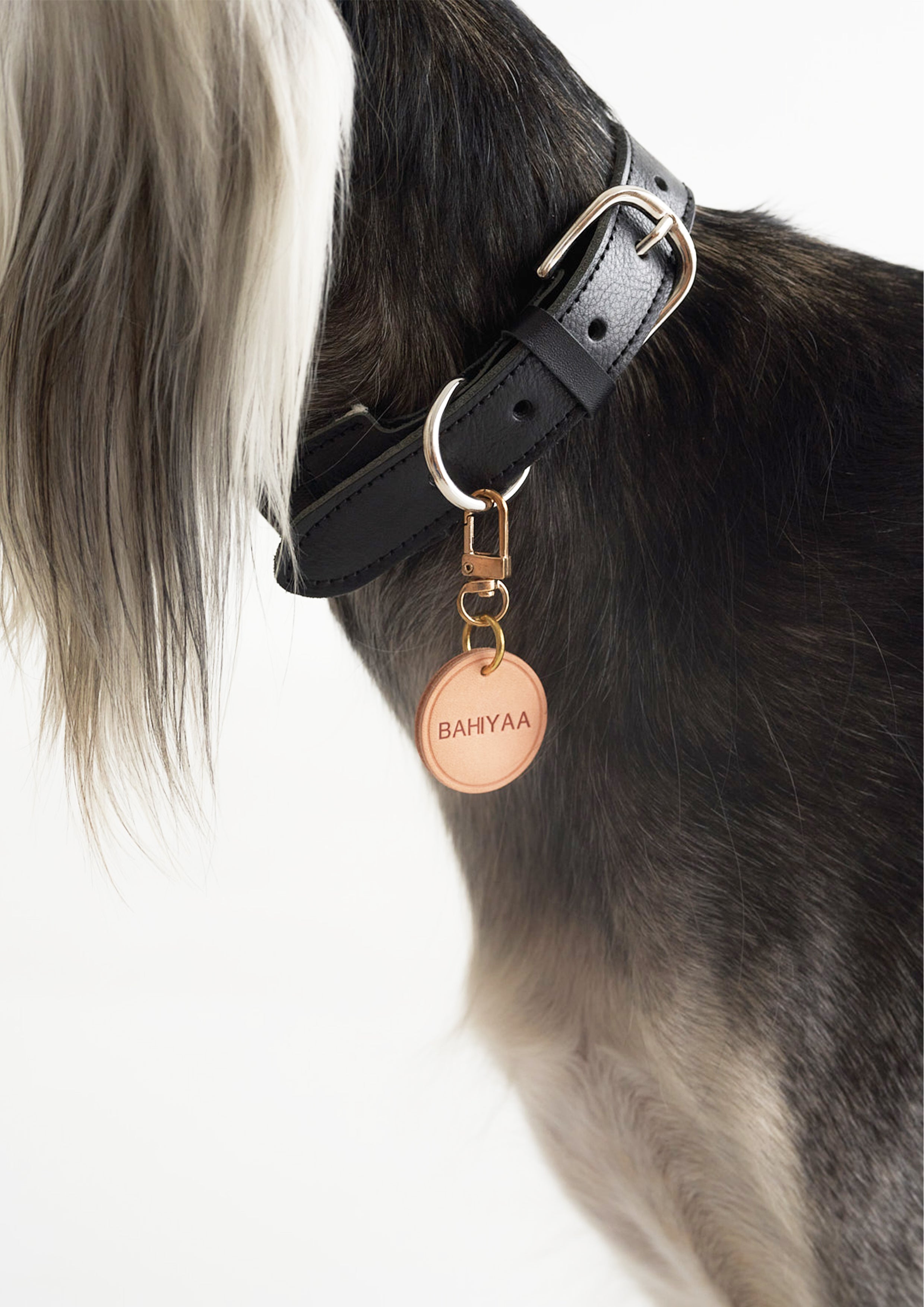 BREIT Collar