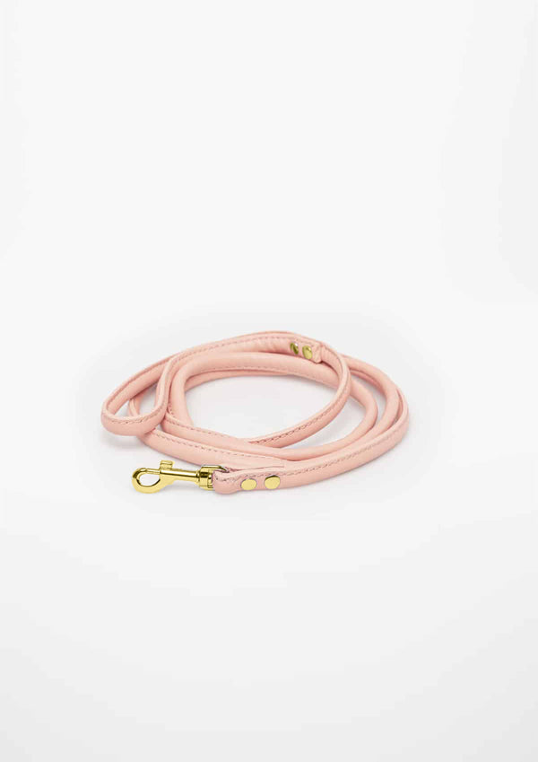 Apricot Vegan Lead