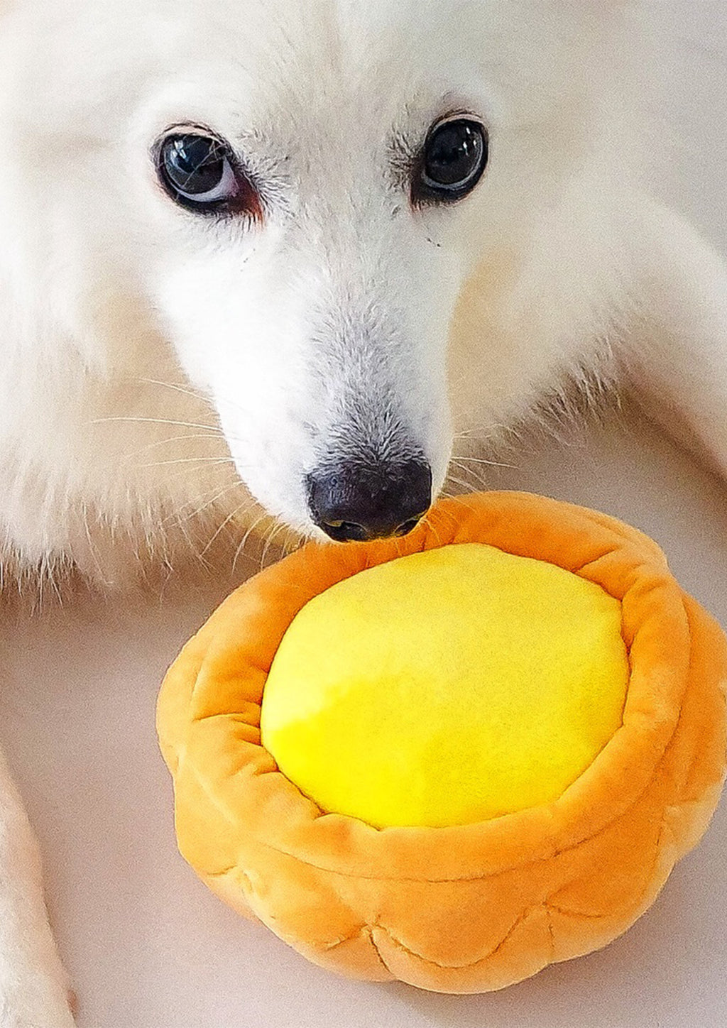Egg Tart