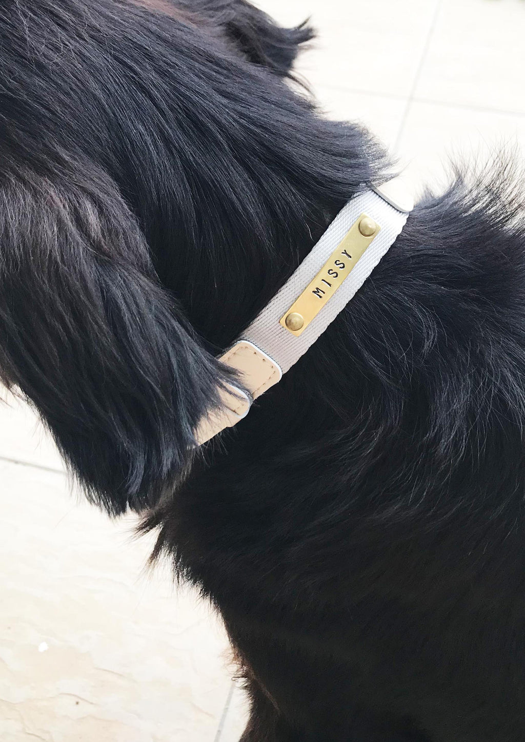 Nylon + Microfibre Custom Collar