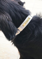 Nylon + Microfibre Custom Collar