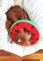 Watermelon Cone