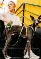 Central Park Harness