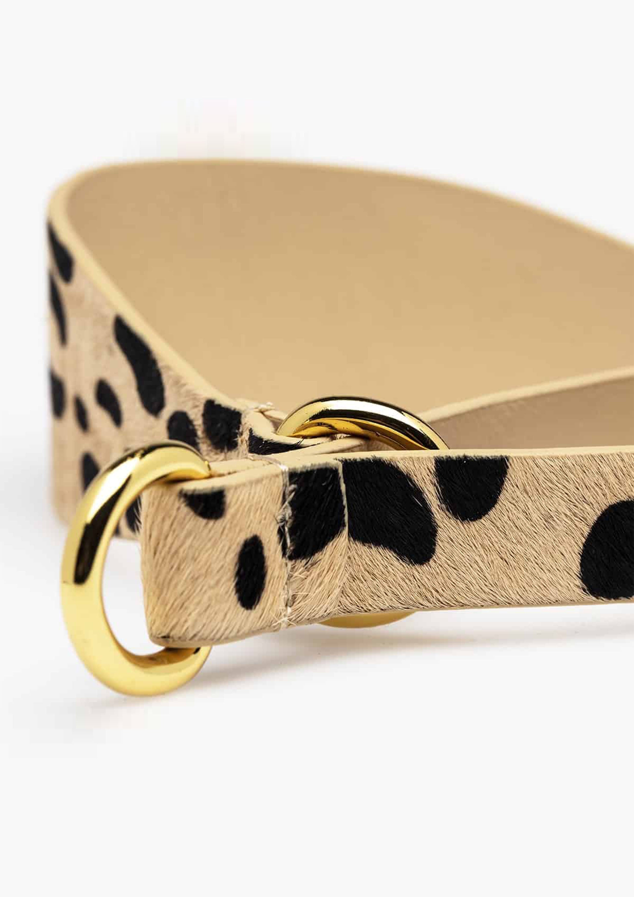 Leopard Leather Martingale
