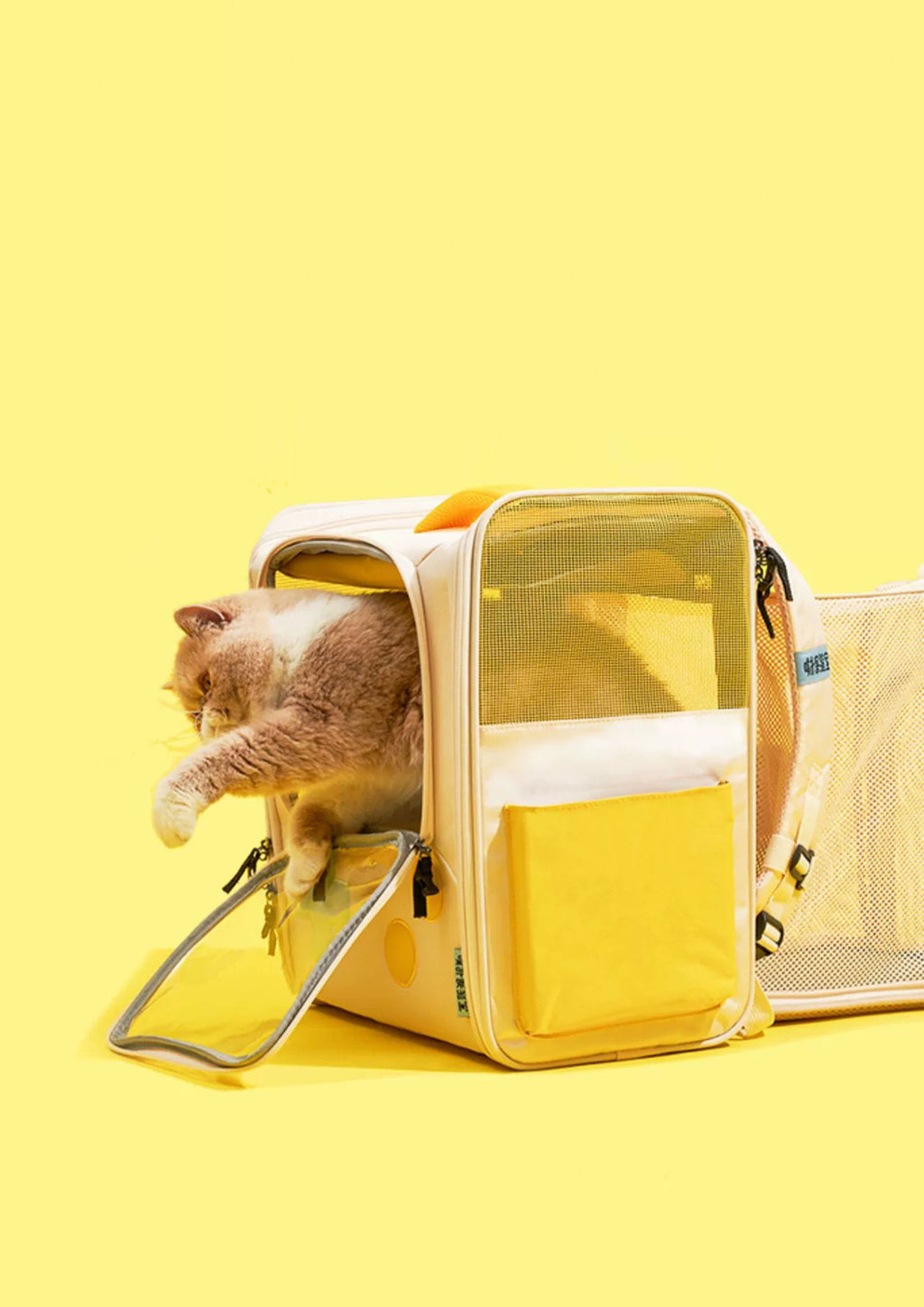 Game Boy Carrier