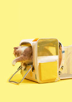 Game Boy Carrier