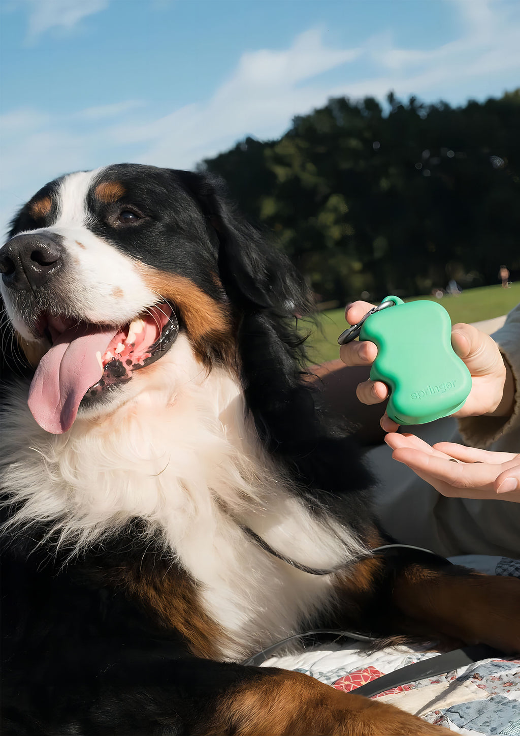 Silicone Dog Treat Dispenser (Springer Green)
