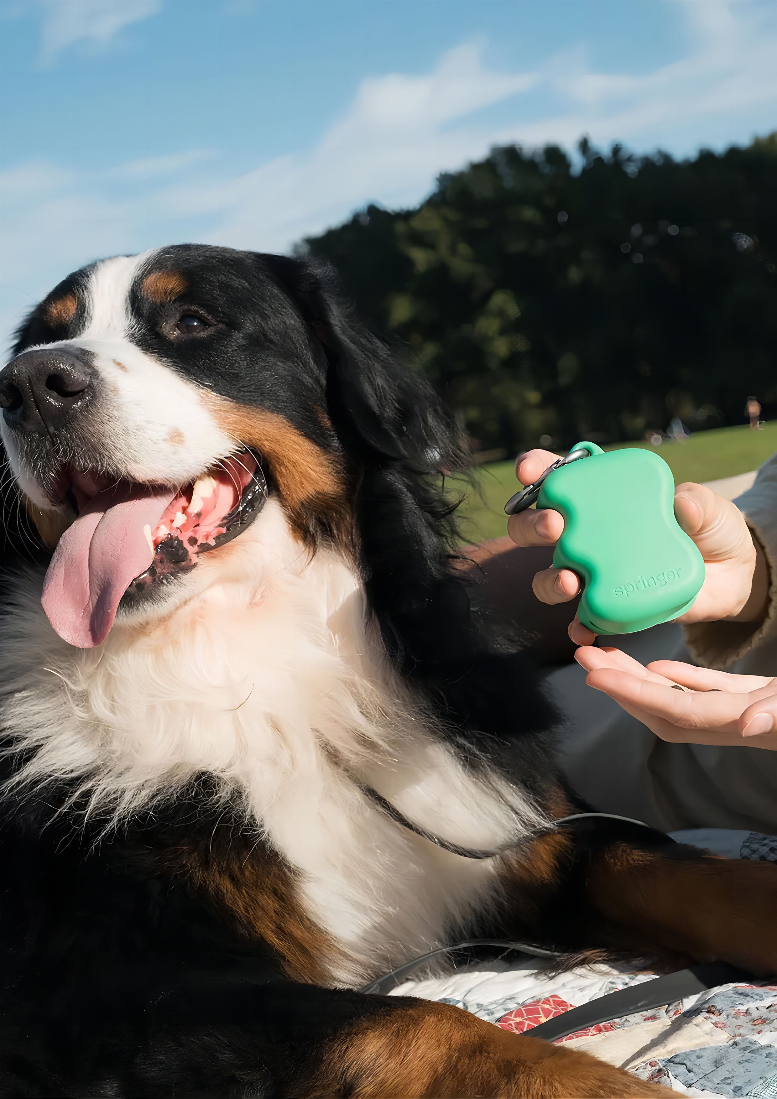 Silicone Dog Treat Dispenser (Springer Green)